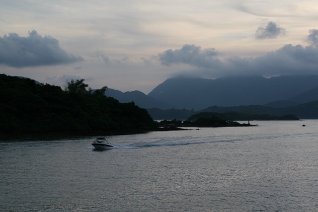 2-2011111A0254C.jpg