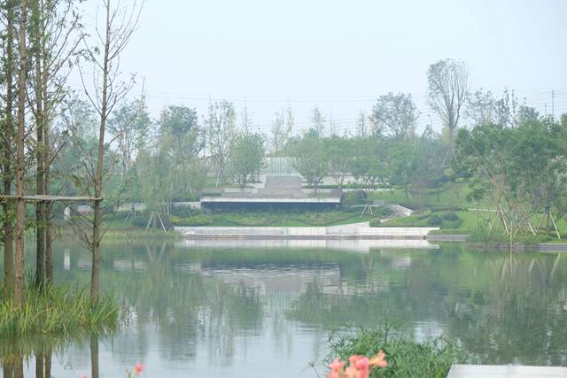 2-201113143F2102.jpg