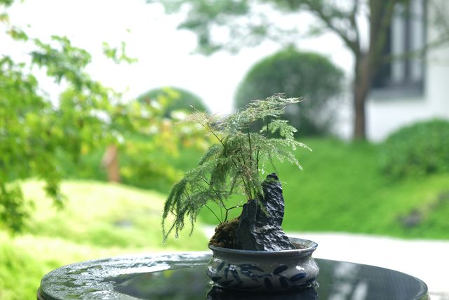 2-20111G15512B5.jpg