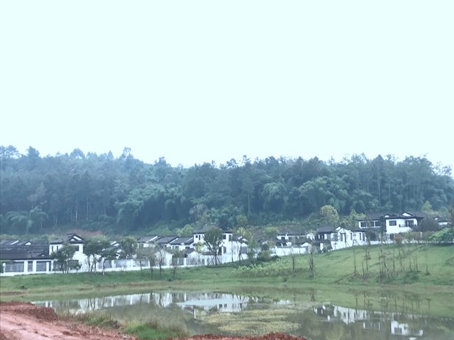 2-20111GA035156.jpg