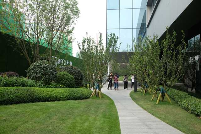 1-20111Q43451520.jpg