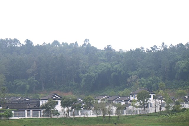 2-20111Q15111939.jpg