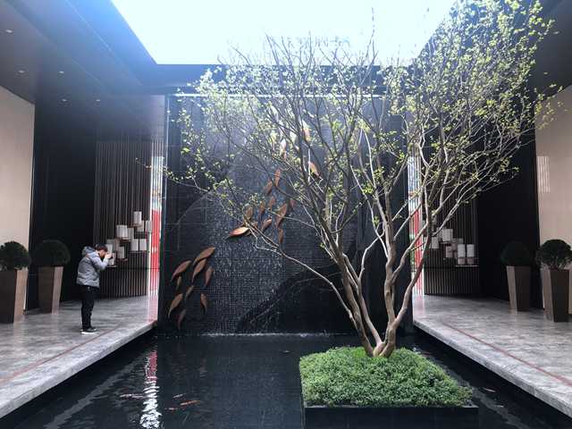 2-2011211059105T.JPG