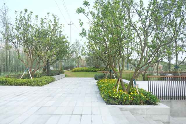 2-201121154543D9.jpg