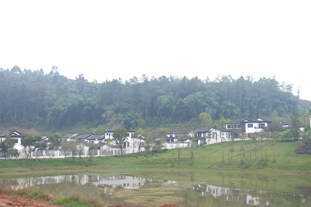 2-201125104K4U4.jpg