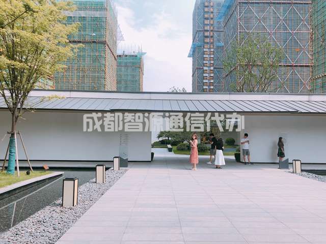 2-201225152251b4.JPG