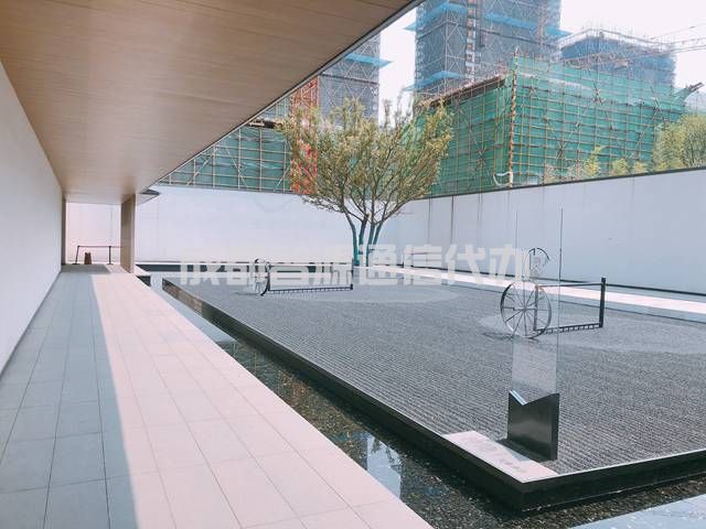 2-201225155033619.JPG