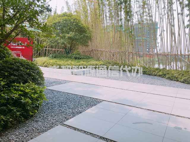 2-20122614594Gb.JPG