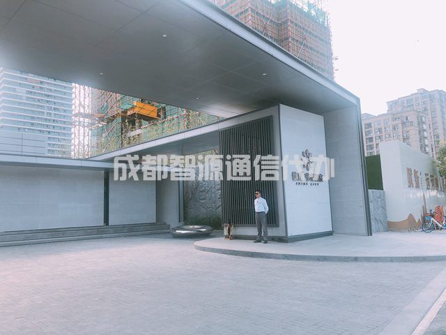 2-201226154624230.JPG