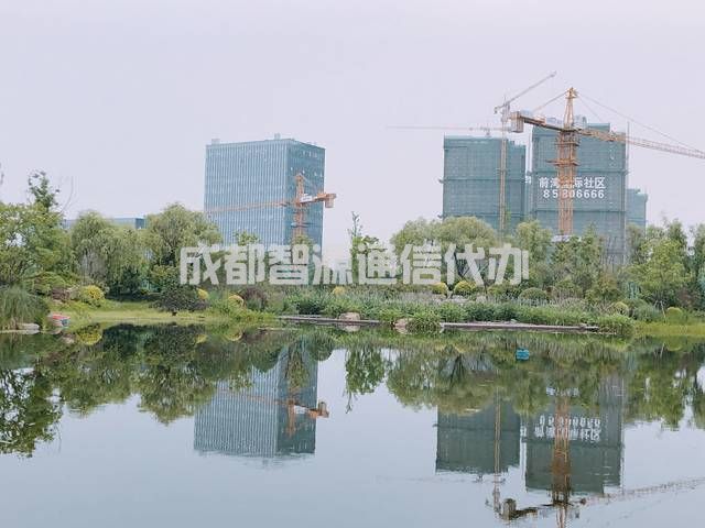 2-201229155640120.JPG