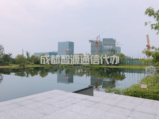 2-2012311543142b.JPG