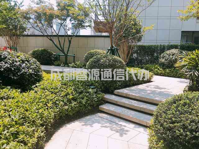 2-210103145053b1.JPG