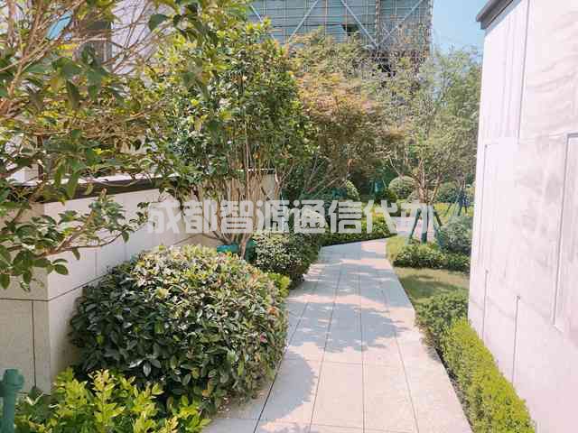 2-21010G51K0435.JPG