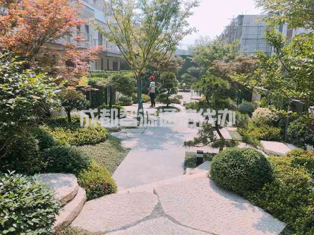 2-21010G54011210.JPG