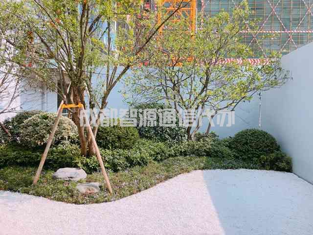 2-21010Q531302U.JPG