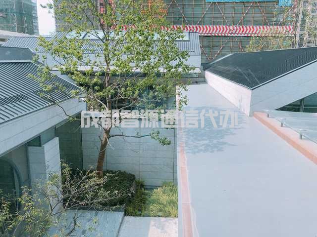 2-2101091121054U.JPG