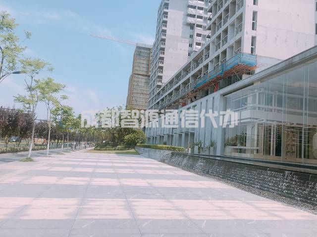 2-2101151FAWY.JPG