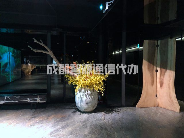 1-2101191T123Y6.JPG