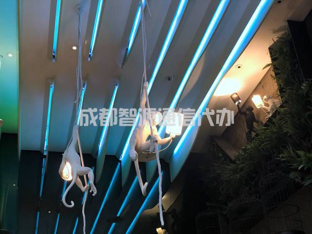 1-21012016254HU.JPG