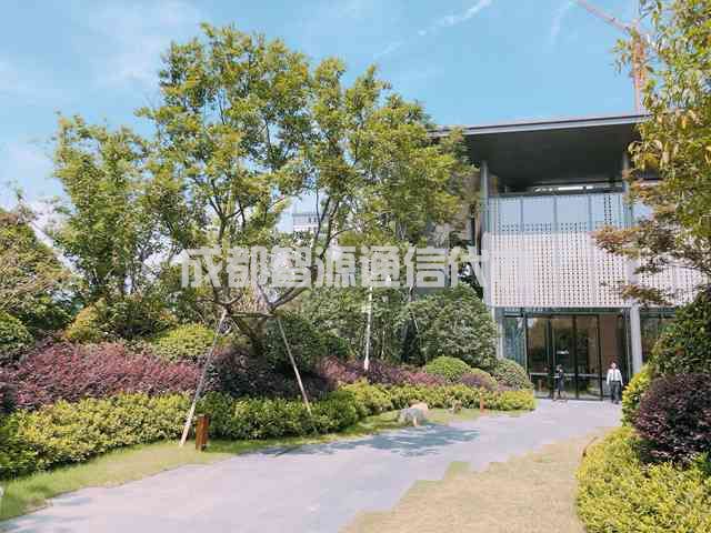 2-210123161Z41c.JPG