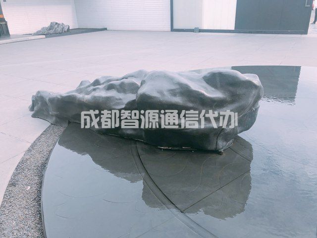1-210125115454557.JPG