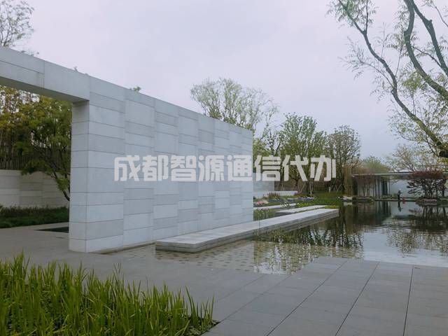 1-21012QP950539.JPG