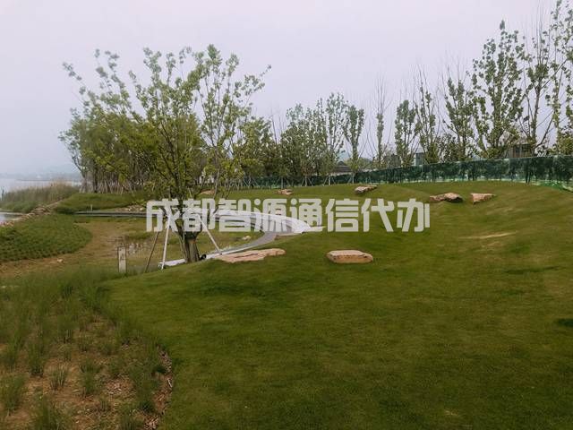1-21012QU223405.JPG