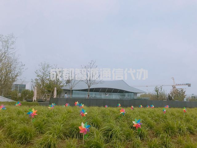 1-21012QU502c7.JPG