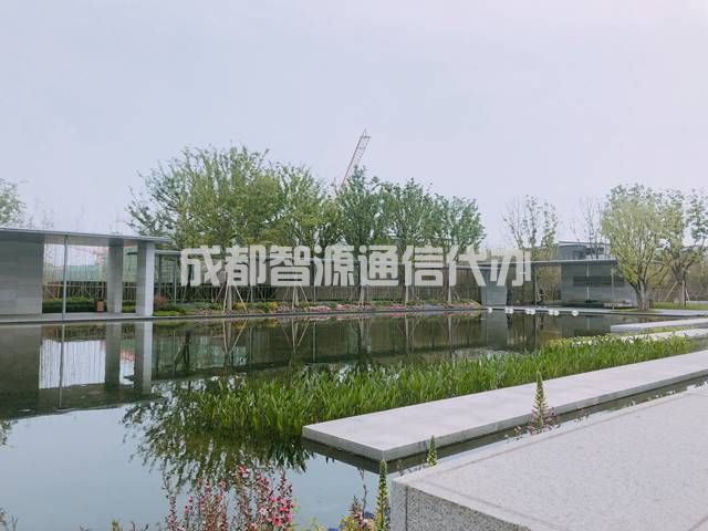 1-21012R01A9553.JPG
