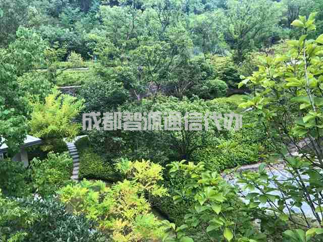 成都市无房证明在哪里办理?多种渠道可供选择(图1)