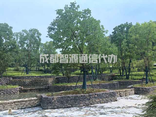 2-21031G62Q21T.JPG