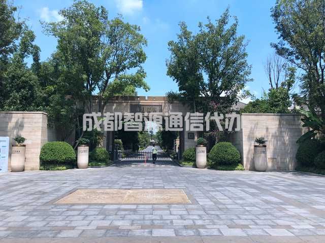 2-21031Q11J4533.JPG
