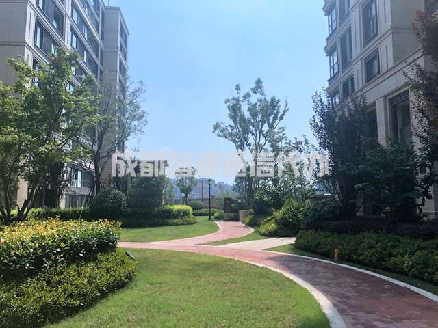 2022成都市入户的要求有哪些？可以当独立户吗？(图1)