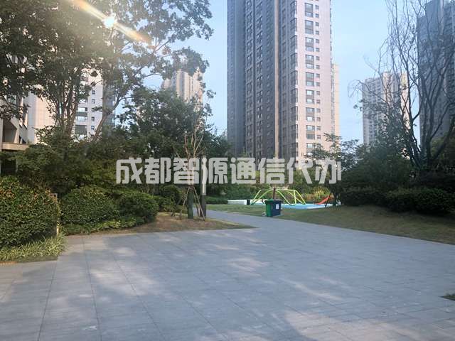 2-210325133931546.JPG