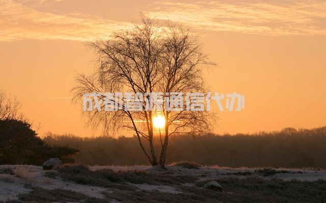 2-2103251634012A.jpg