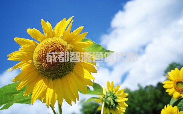 2-21032G55129649.jpg