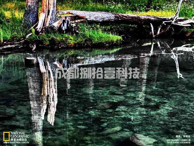 2022成都个税税率是多少？这几例情况免征税(图1)