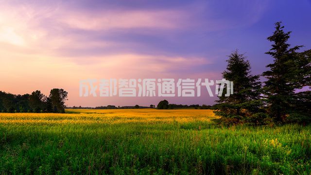 2-210401091912U0.jpg
