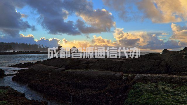 2-210402155Zb00.jpg