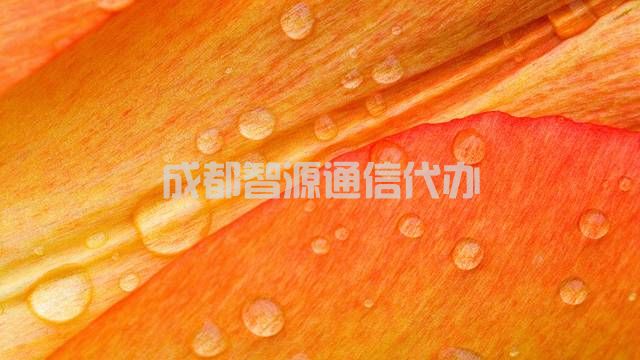 2-210405142602J4.jpg