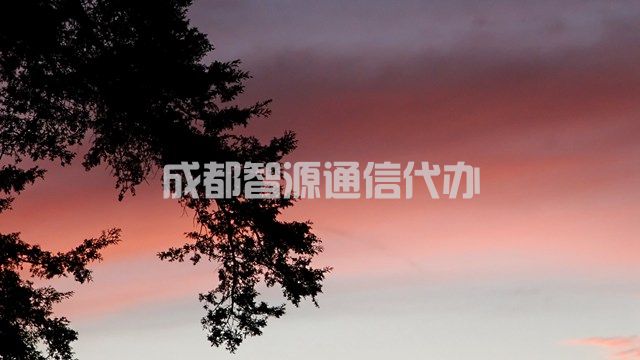 2-2104051451533L.jpg