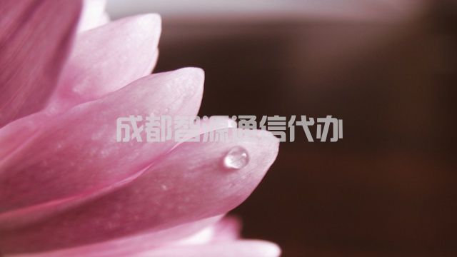 2-210405155601341.jpg