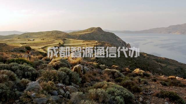2-210405160644C9.jpg