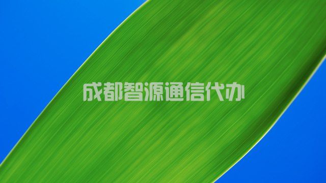 2-2104061A121631.jpg