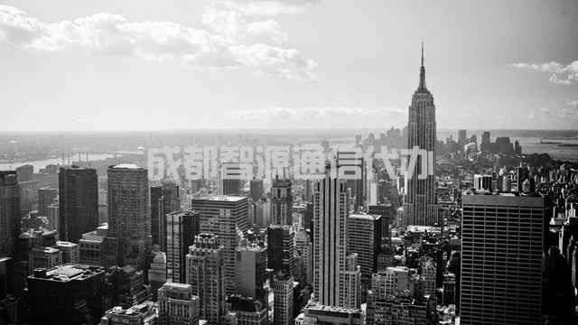 2-2104061I9164Z.jpg