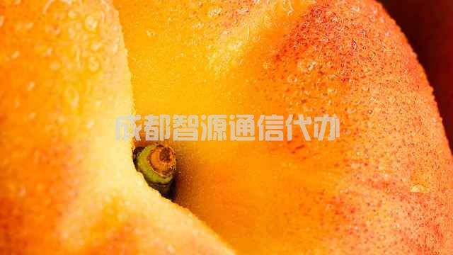 2-2104061J32K50.jpg