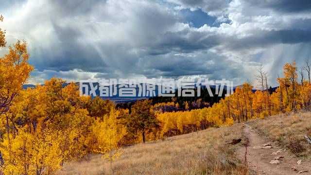 2-2104141F624M2.jpg