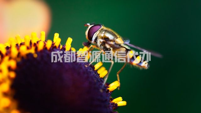 2-210415162J3625.jpg