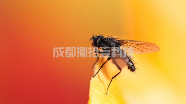 2-21051G14Q3W2.jpg