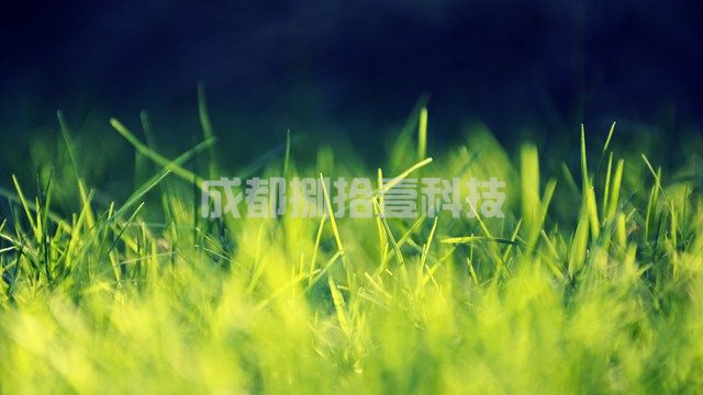 2-210520140151D1.jpg